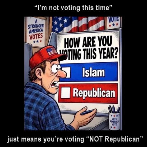 not-voting-means-not-voting-republican