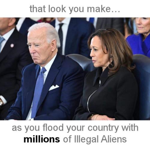 illegal immigration549