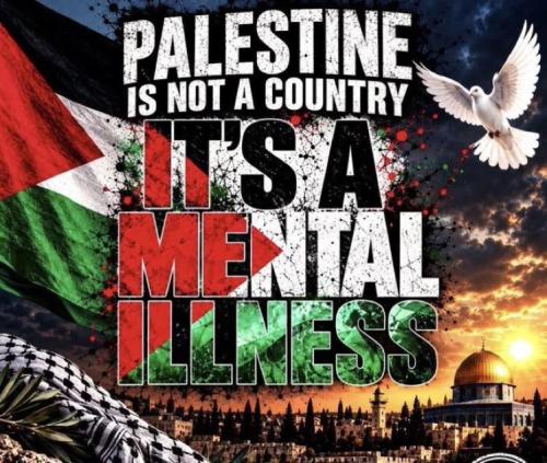PALESTINE=MENTAL ILLNESS