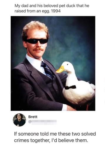 dad-pet-duck