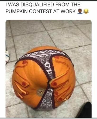 pumpkin-contest