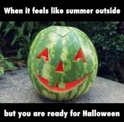 FB_IMG_1791721548653