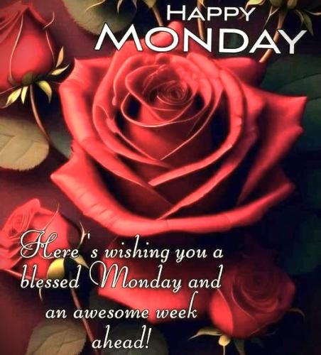 100526 - Happy Mon; awesome week