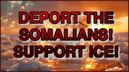 REPORT SOMALIAN FRAUD