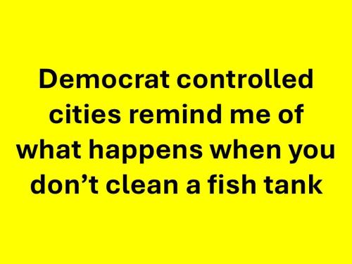 democrat-cities-like-not-cleaning-fish-tank