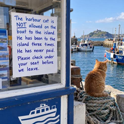 harbourcat