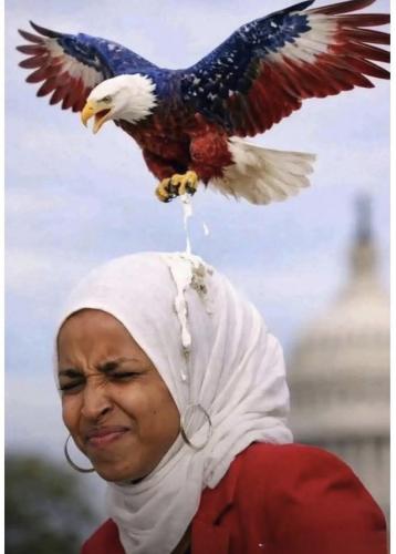 eagle dumps on ilhan omar