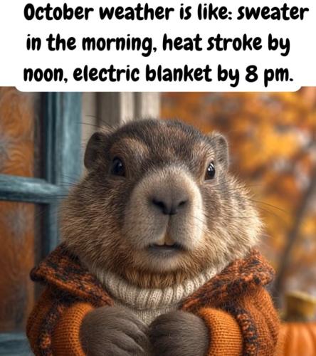 FB_IMG_1791807555001