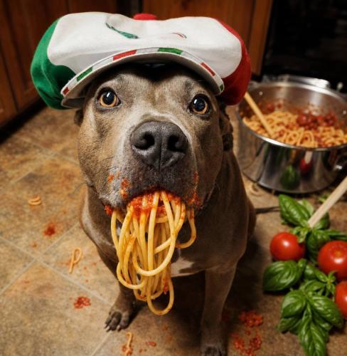 !!!!! pasta day
