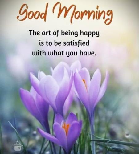 101526 - Happy w-what you have
