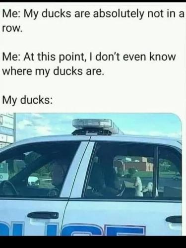 10253