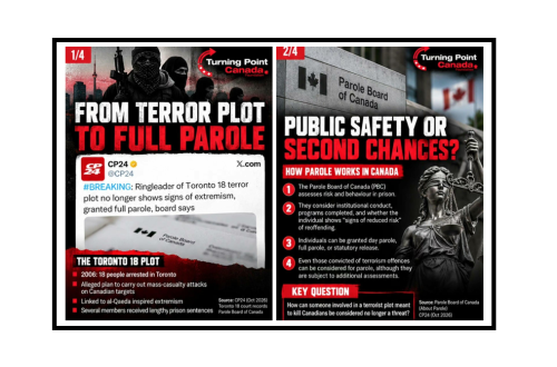 terror plot 1