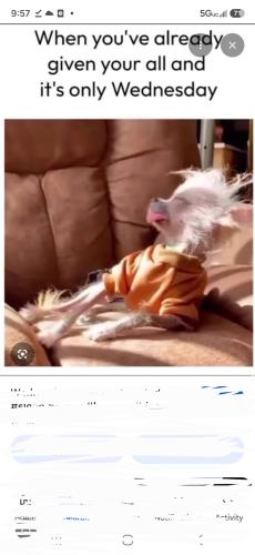 Screenshot_20261007_095753_Google