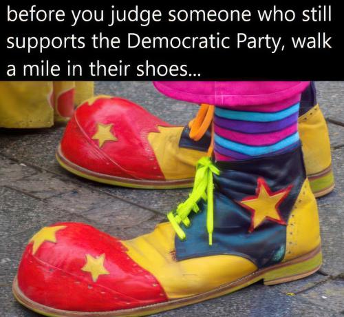 meme-dems walk shoes