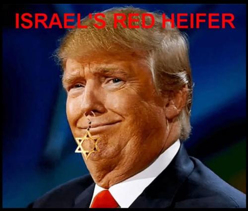 israel's red herring