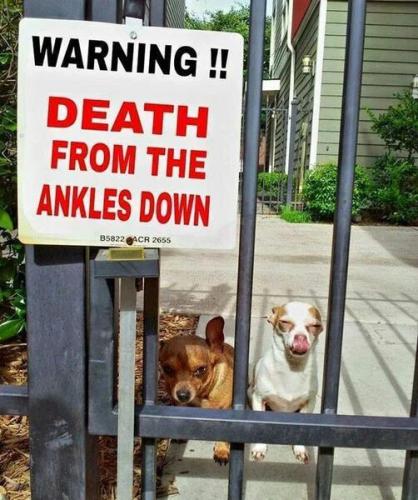 death-ankles-down