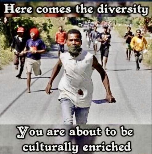 Diversity