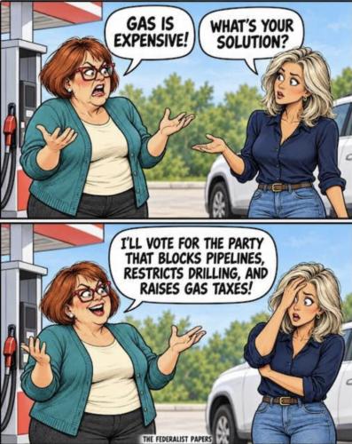 BIDEN OIL CANT FIX STUPID