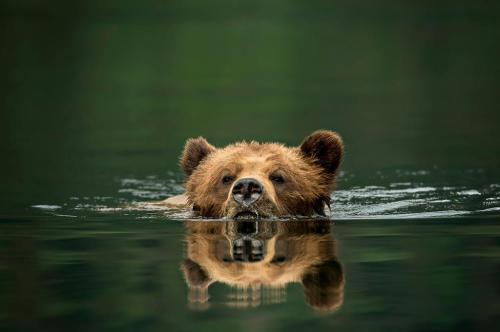 khutz-swim-d4s1873-by-michelle-valberg
