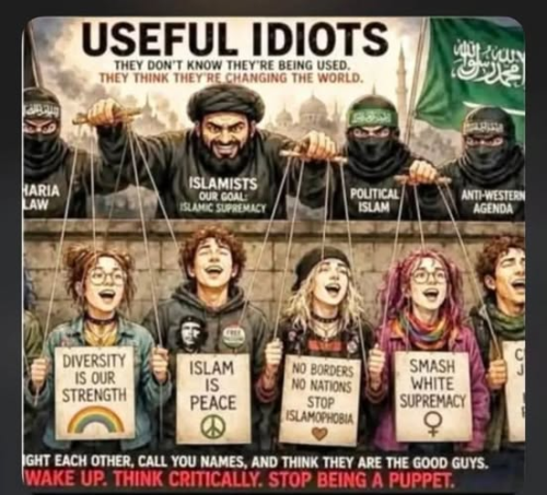 useful idiots