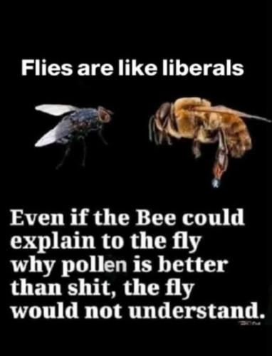 FB_IMG_1792112846039