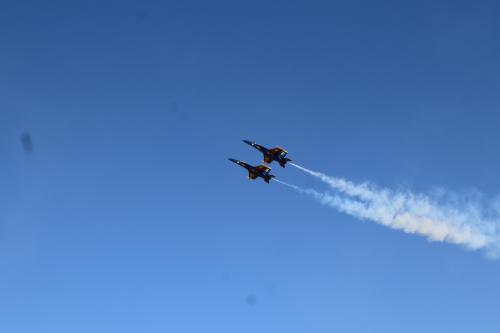 IMG_1609 (1)
