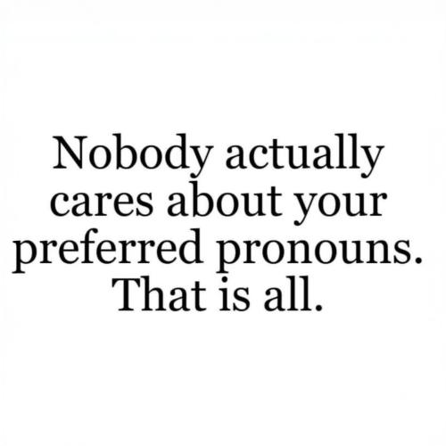 meme-nobody-cares-pronouns