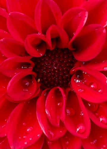 22bee38f-2191-450d-a7c2-4f955d352c06