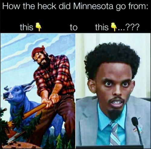 minnesota49