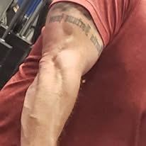 arms new