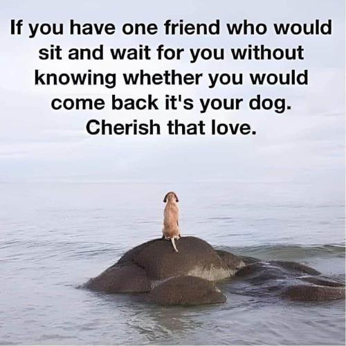 cherish