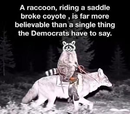 FB_IMG_1791555504127