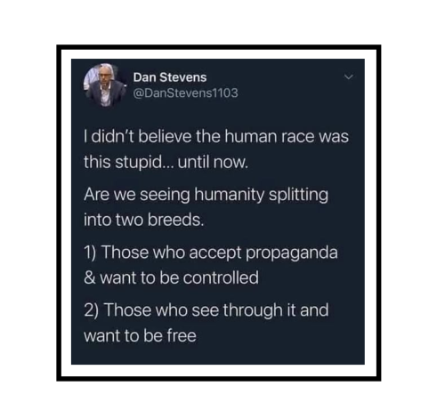 didn't believe