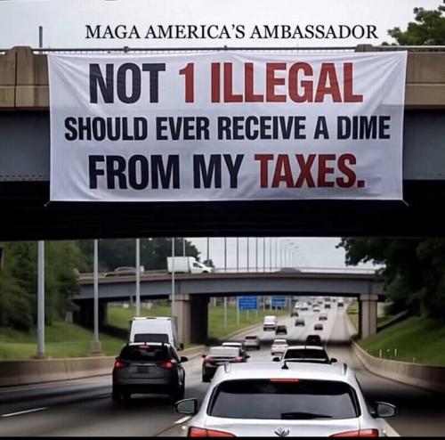 illegals and taxes
