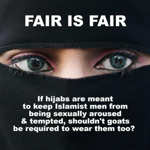 beautiful hijab.768px