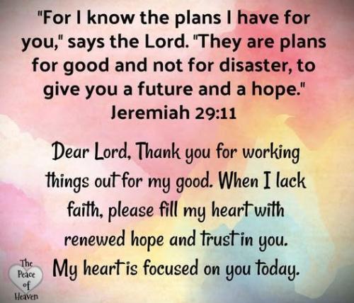 101326 - Plans for good, Jere 29-11