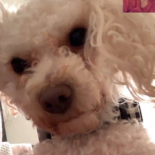 October 6, 2020