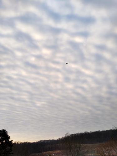 January 9, 2022