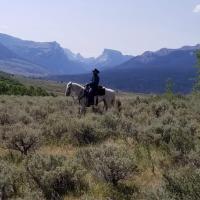 Roxanna Bergeron
