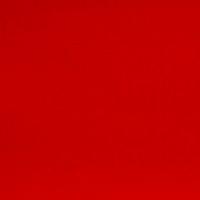 Kimberly Bayne