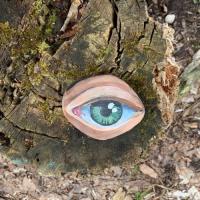 Cindy Bamford