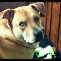 Sonya hendricks