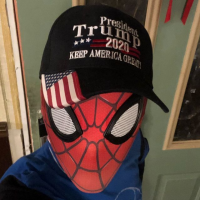 Spider Patriot