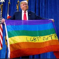 Sue M