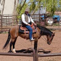Shawn