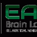 Easy Brain Labs