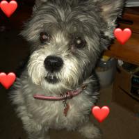 Zoey Barry