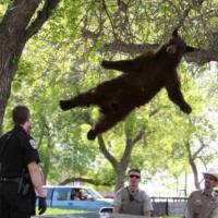 M B