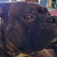 Kent Kohlgraf