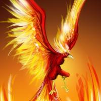 Phoenix Rising